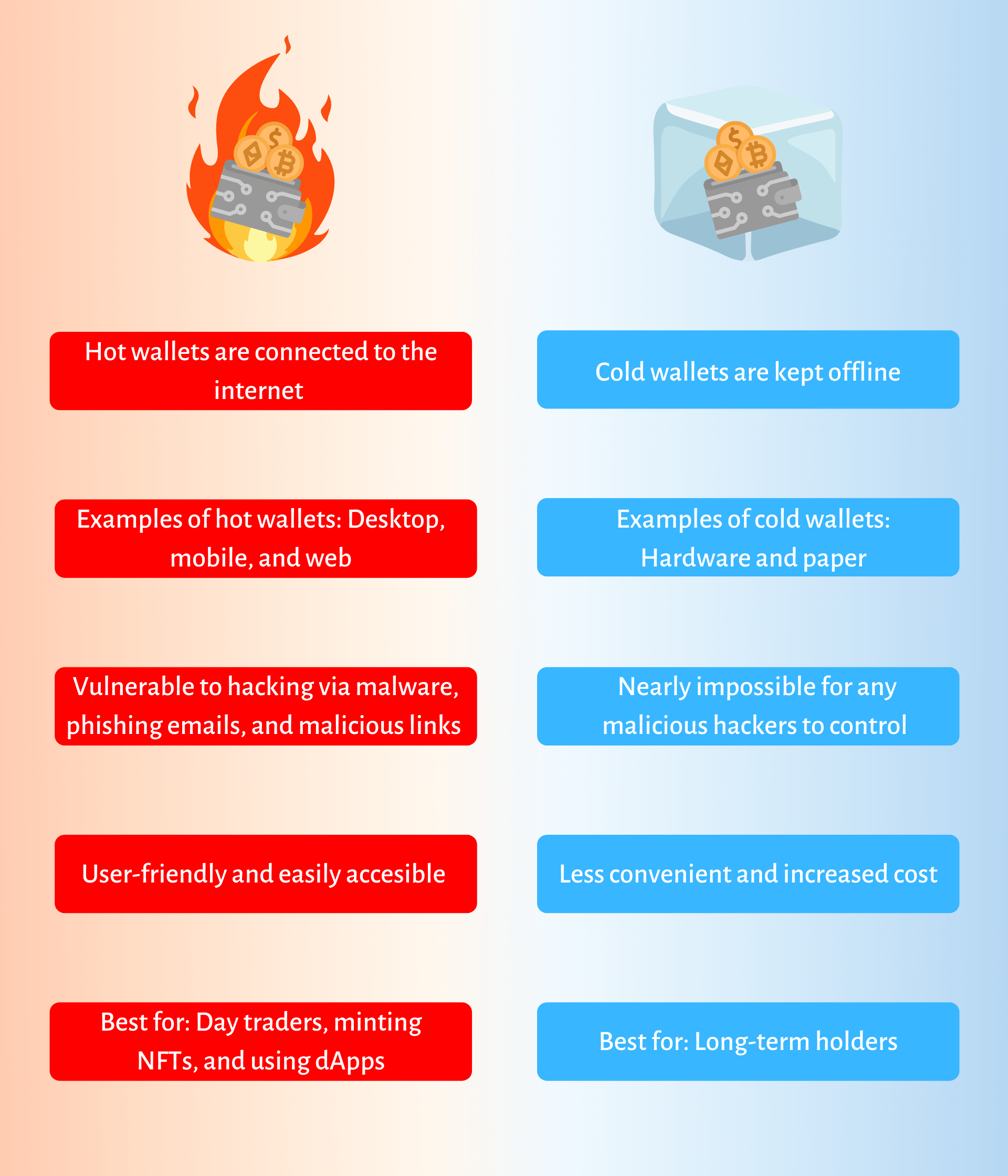 Differences between hot vs cold wallets